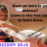 Free Self Defense Class (Demo)