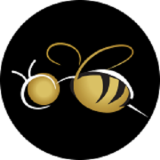 webuzz-bee-on-black-circle-300-x-300